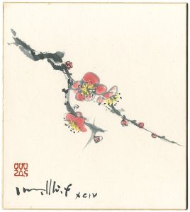 Furuaswa Iwami  / 自筆画色紙　紅梅
