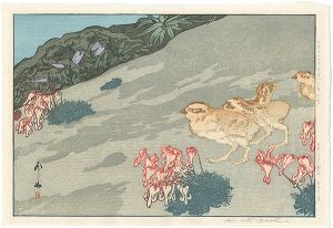 日本アルプス十二題　雷鳥とこま草