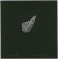 Planetoid (I)
