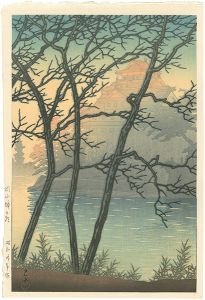 Morning at Okayama Castle