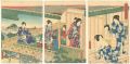 Prince Genji At Hakone Spa