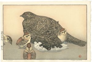 Yoshida Toshi / Raicho