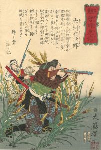 Yoshitoshi / Biographies of Valiant Drunken Tigers / Okawa Hyojiro [競勢酔虎傳 大河兵次郎]