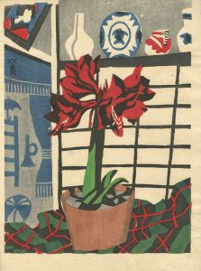 Kawanishi Hide / Amaryllis