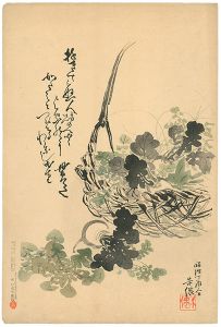 米僊「蕪（仮題）」