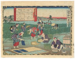 Hiroshige III / Pictorial Record of Japanese Products: Manufacturing Aobana-Paper, Ohmi Province  [大日本物産図会　近江国青花紙製図]