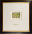 The illustrated books "LA LUMI......