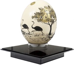 駝鳥の卵