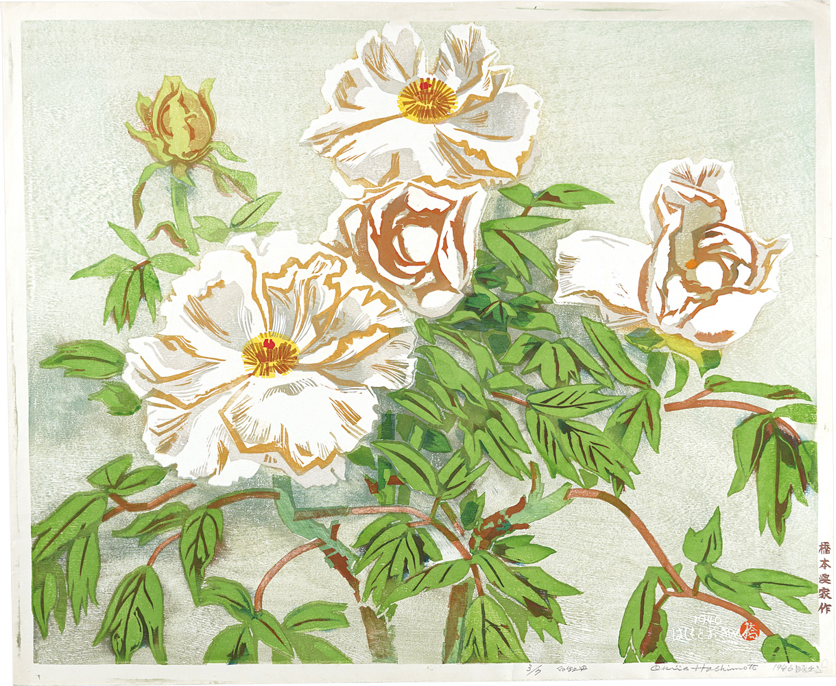 Hashimoto Okiie “White Peony”