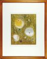 Poetry of Dandelion