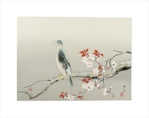 Kodama Kibou / Spring sunny