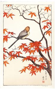 Yoshida Toshi / 紅葉の安らぎ