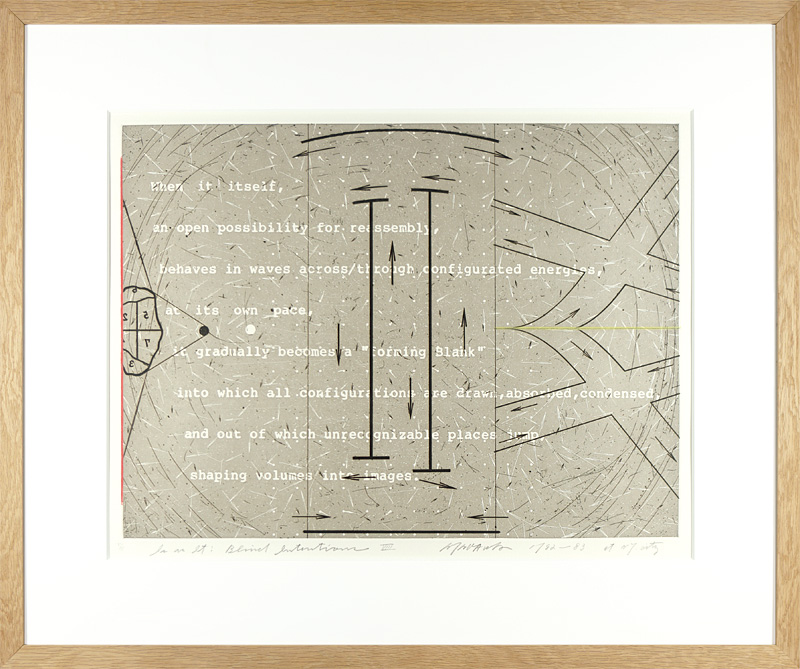 Arakawa Shusaku “"Is as It: Blind Intentions" VIII”