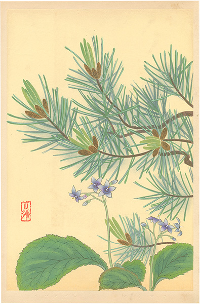 Inoue Masaharu “Japanese Alpine Plants / Conandron Ramondioides and Dwarf Stone Pine”
