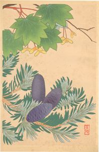 Inoue Masaharu / Japanese Alpine Plants / Acer Sieboldianum and Abies Homolepis