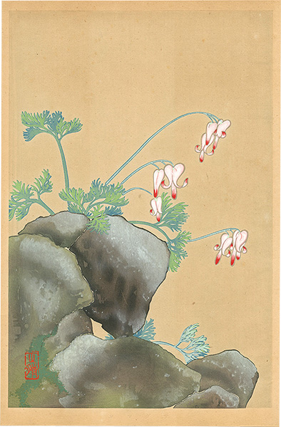 Inoue Masaharu “Japanese Alpine Plants / Dicentra Peregrina”