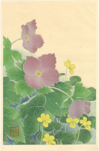 Inoue Masaharu / Japanese Alpine Plants / Viola Biflora and Glaucidium Palmatum