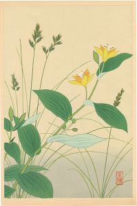 Inoue Masaharu / Japanese Alpine Plants / Festuca Ovina and Tricyrtis Latifolia
