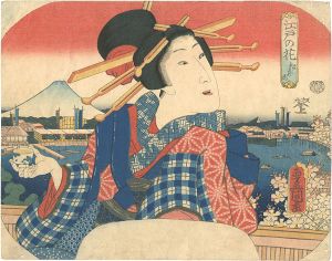 Toyokuni III / 江戸の花　松井町 [江戸の花　松井町]