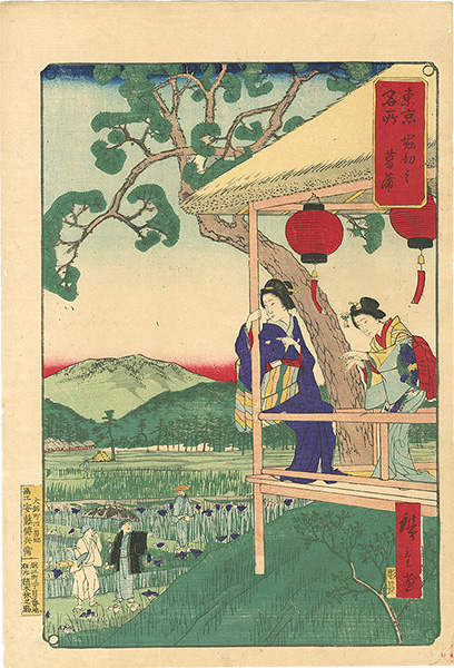 Hiroshige III “Famous Places of Tokyo / The Iris Garden at Horikiri ”