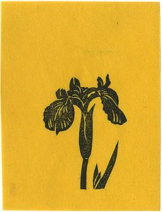 Hiratsuka Unichi / The Iris(tentative title)
