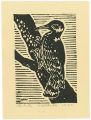 The Woodpecker