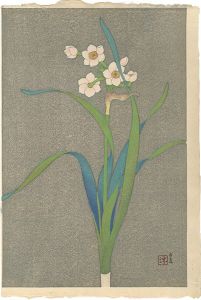 水仙（仮題）