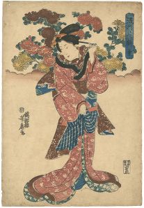 流行花揃　菊