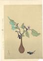 Eggplant