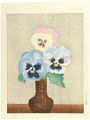 Three Colors of Pansies