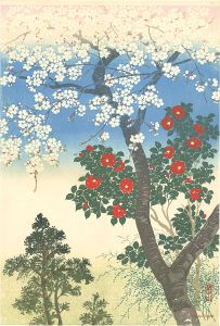 Kawatsura Yoshio (Negoro Raizan) / Cherry blossoms and Camellia