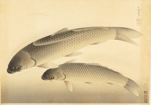Ono Bakufu / Fish of Japan / The Magoi (Black Carp) 