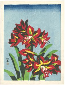 Kawanishi Hide / Amaryllis