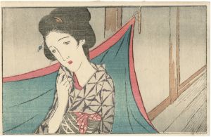 A Mosquito Net from the Magazine The Ladies' Graphic