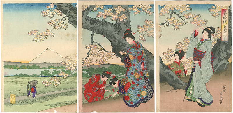 Chikanobu “Cherry Blossoms at Sumida”