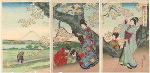 Chikanobu / Cherry Blossoms at Sumida [墨田堤花盛之図]