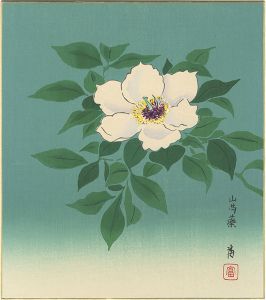 Tokuriki Tomikichiro / Peony