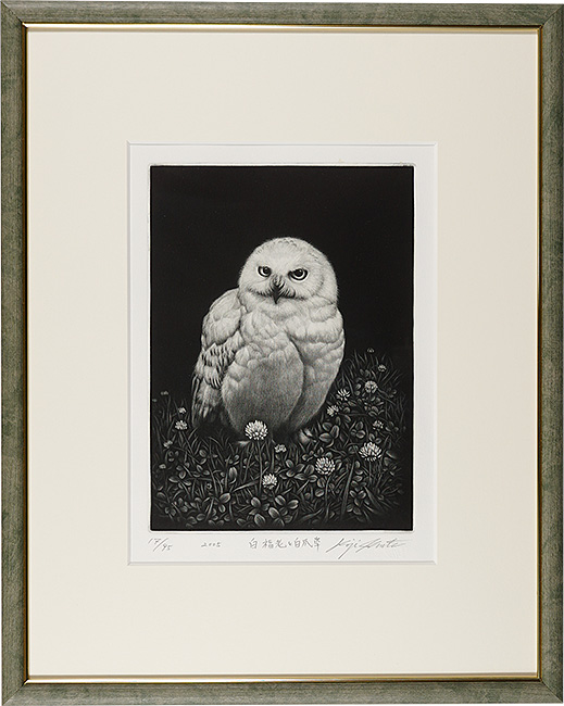 Ikuta Koji “White owl and birch grass”