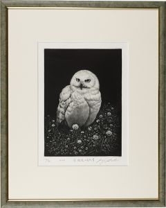 Ikuta Koji / White owl and birch grass