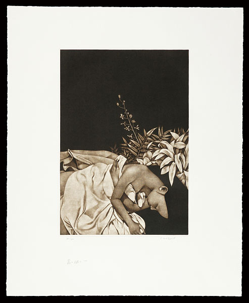 Saito Kaoru “Sleep in the Grass”