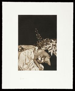 Saito Kaoru / Sleep in the Grass