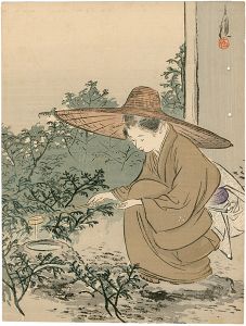 木版口絵