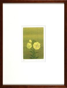 Shimizu Atsushi / Evening primrose
