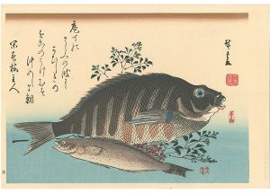 広重初代「魚づくし　しまだい・あいなめに南天【復刻版】」