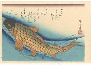 広重初代「魚づくし　鯉【復刻版】」