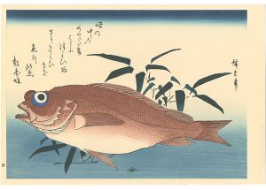 広重初代「魚づくし　赤魚に笹葉【復刻版】」