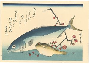 広重初代「魚づくし　いなだ・ふぐに梅【復刻版】」