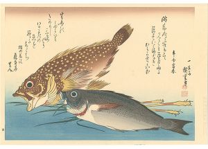 広重初代「魚づくし　かさご・いさきに薑【復刻版】」