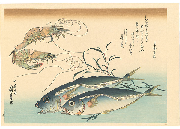 広重初代「魚づくし　車海老・鯵にたで【復刻版】」