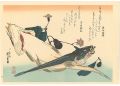 A Series of Fish Subjects / Fl......